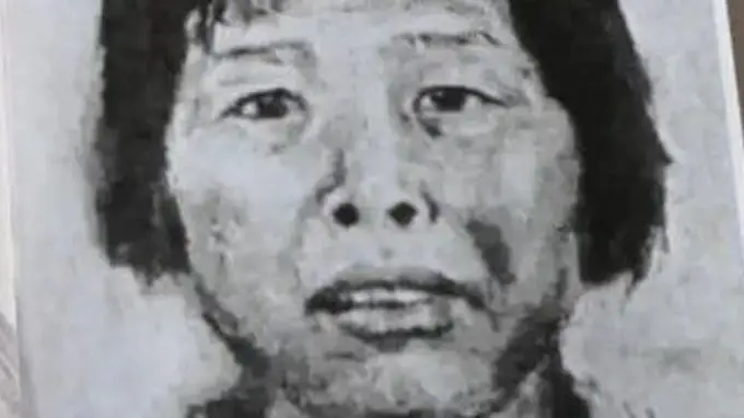 “梅姨”案涉案嫌疑人真名谢家梅确认 案件进入审查起诉阶段