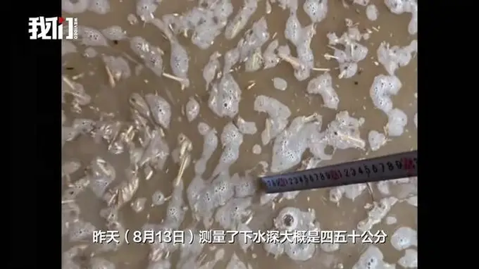 河南襄城一粮食收购处数吨小麦被洪水浸泡，多方回应