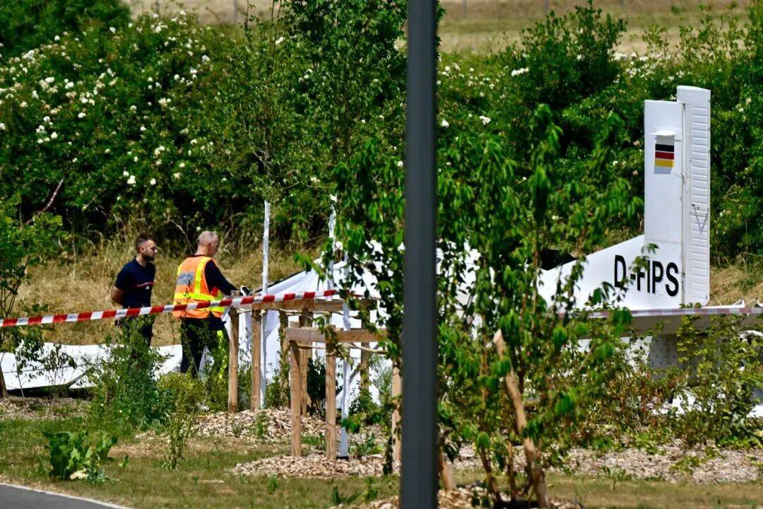 一驾轻型飞机在法国坠毁，11人遇难