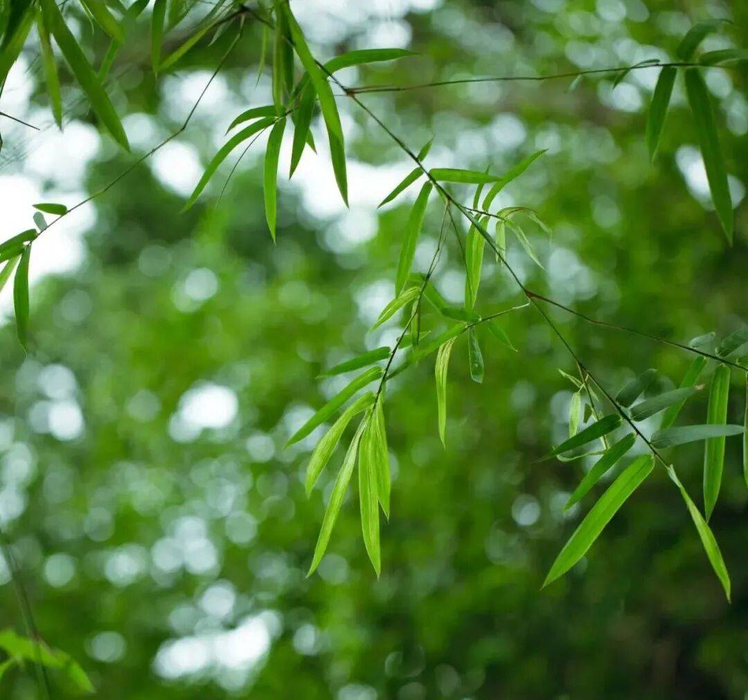 夜读 | 《飘》中的3句话，藏着向上的密码