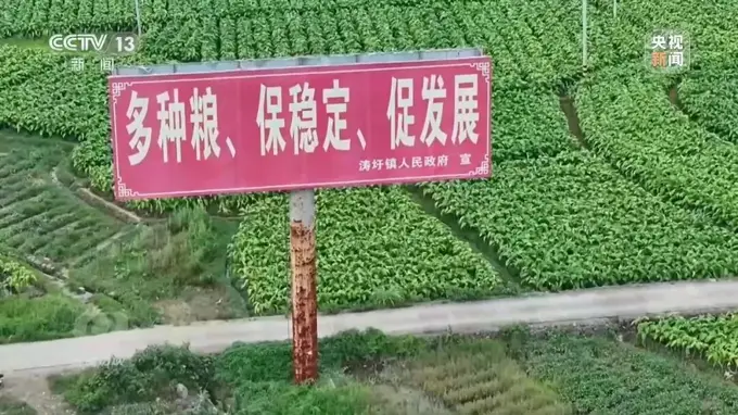 央视曝光:湖南江华县、镇、村三级应付检查,赤裸裸造假