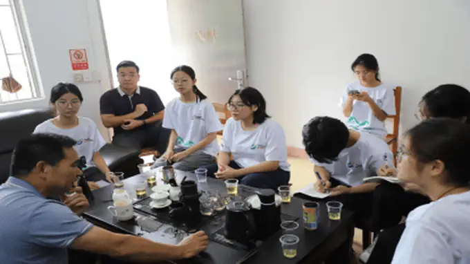 深山好茶如何走出山?岭南师院学子调研江林茶 为非遗茶品牌振兴献青春智慧