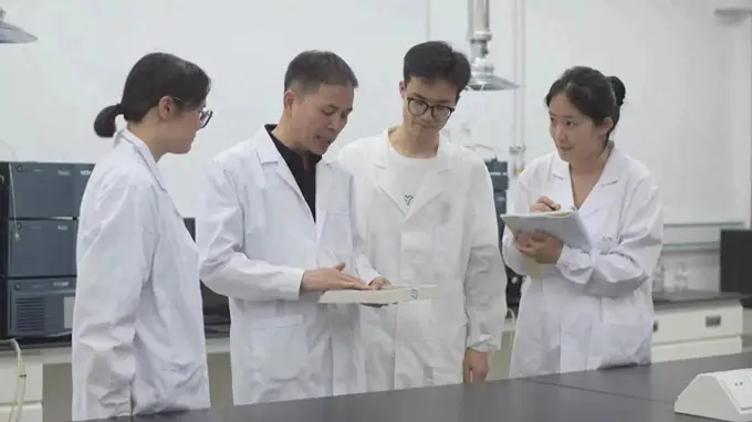 黑龙江虎林：刺五加茶擦亮黑龙江特色产业金“名片”