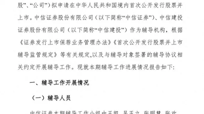 长江存储31人IPO“辅导天团”亮相，两券商同时押中“双子星”