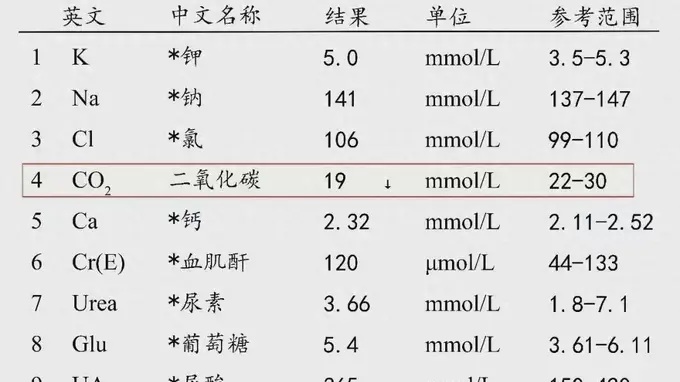 肾友别乱戒主食！吃太少真的会加速肾衰