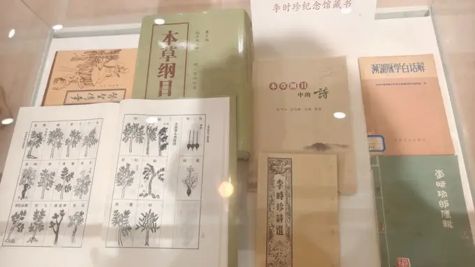 浦东图书馆邂逅东方本草之美 画家丁融全国巡展上海站启幕