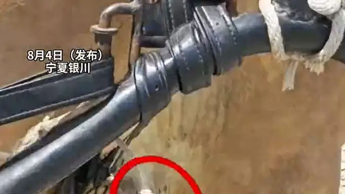西夏陵景区回应拉车马受伤事件：游客量激增致马匹大腿磨破 已停运处理伤口