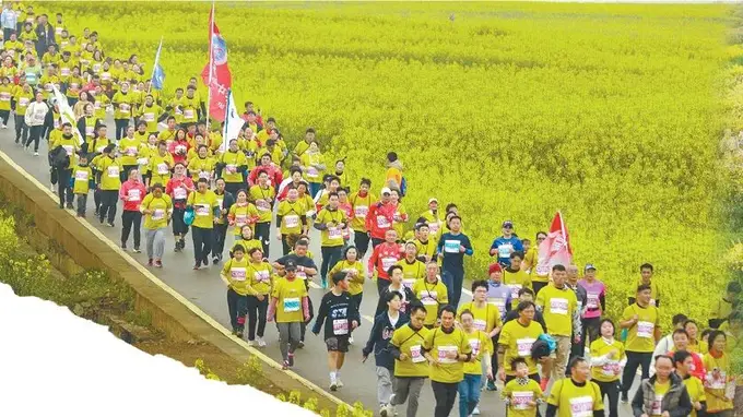 花开四季“香”约云南 花卉旅游绘就全域繁花盛景
