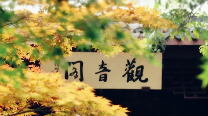 立秋 | 浅秋送清宁