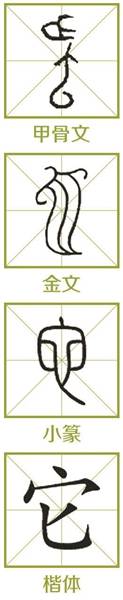 新国学｜从“它”到“他”再到“她” 怎样一路走来