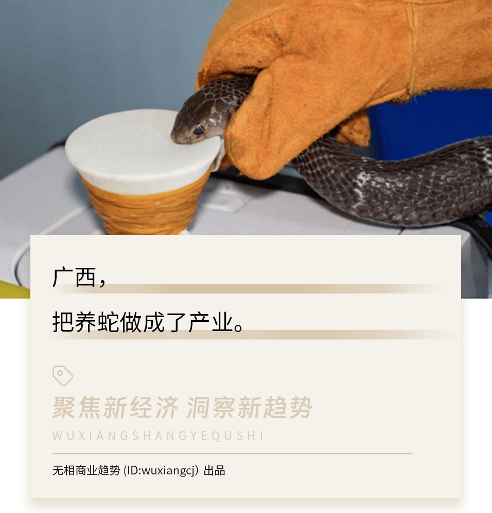 被冲毁的广西养蛇场，藏着500亿的大生意