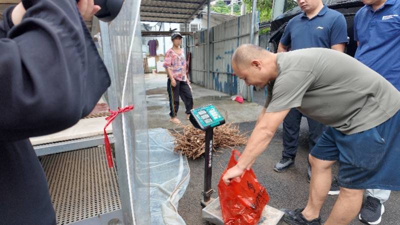 温泉引来湾区客！打卡藏在林海中的康养胜地