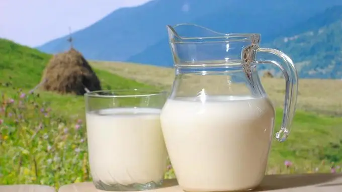 胃病患者需留意！除牛奶外这4类食物也应少碰，早知道早受益更安心