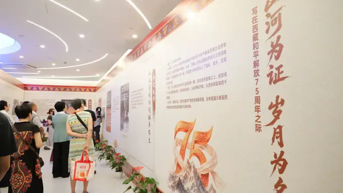 山海携手绽芳华 藏沪同心促交融
