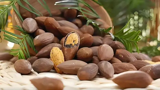 不宁腿人群吃香榧子 这些注意事项一定要记牢