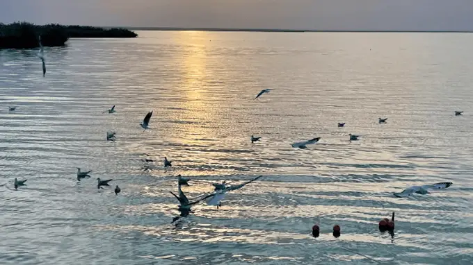居延海专属日落攻略 不用凌晨早起也能赴弱水之畔盛景