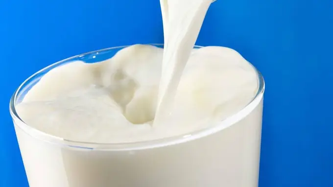 百菲乳业四闯IPO折戟后转战港股 水牛奶乳企再迎破局考验