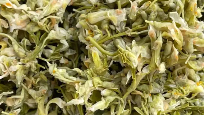 云南春日时令野菜 苦刺花酸菜炒出清苦回甘好滋味