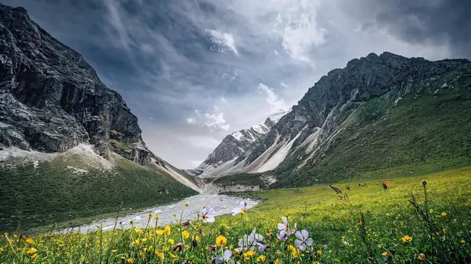 6月伊犁想找会唱歌跳舞的导游?本地人告诉你篝火晚会这样玩才够味