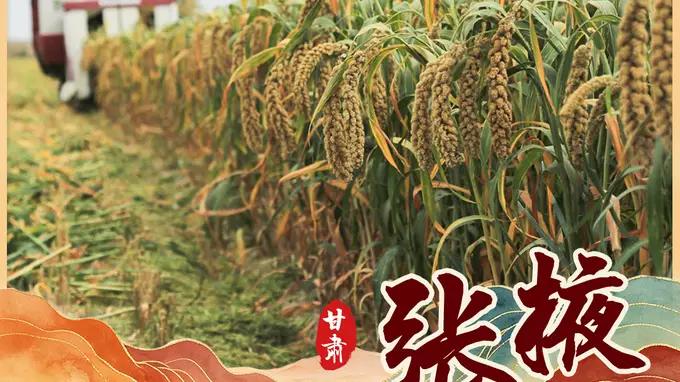 （图表·海报）中国之城丨甘肃张掖：“蜂腰之地”山河万象