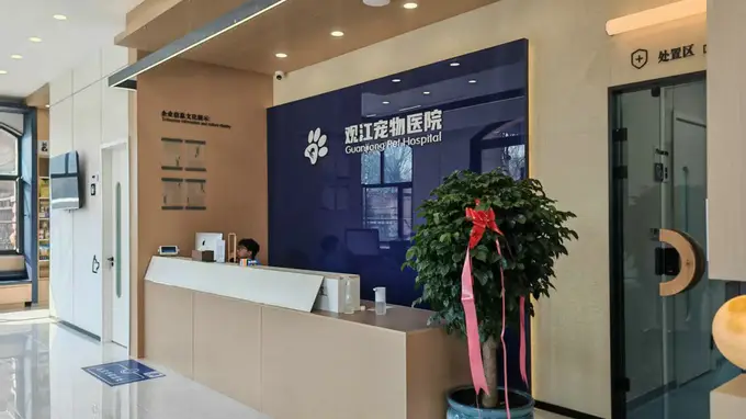 热议哈尔滨做酒店设计提升客户体验的公司,哪家口碑更好?