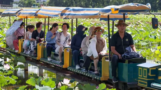 福建武夷山：五夫荷韵 盛夏逐芳