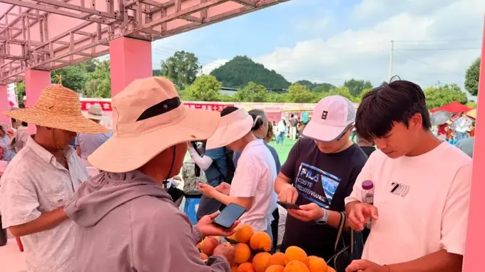 永乐桃园周末采摘季来袭 全攻略攻略已整理好