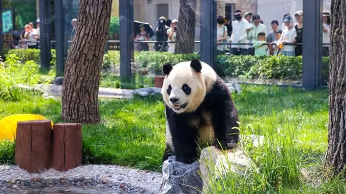 号外！北京动物园已开启夏日“消暑模式”