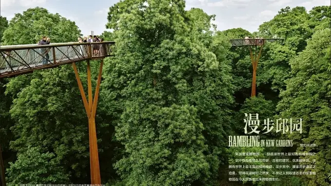 畅游英国皇家植物园邱园