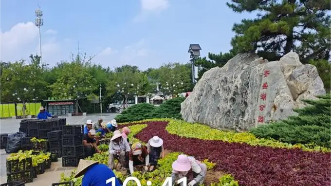 市公园城市服务中心启动齐盛湖公园精细管护提质行动 擦亮生态名片