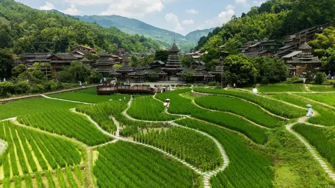 立秋肇兴侗寨:侗寨盛景入画来