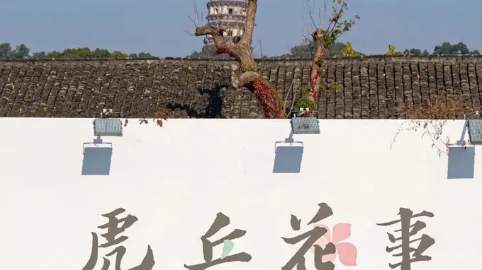 七里山塘香不断，读懂苏州千年花市