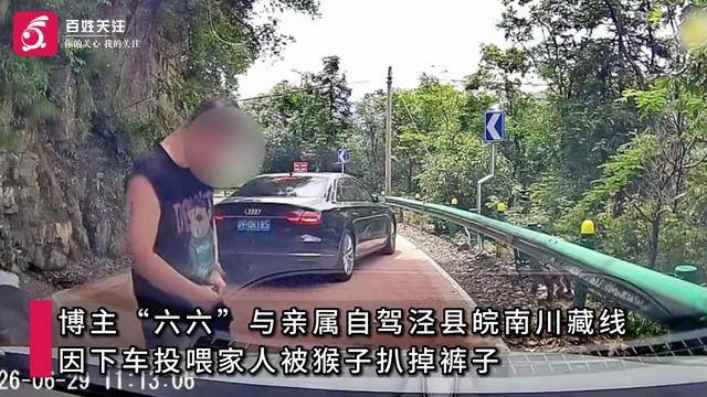 游客自驾安徽皖南川藏线遇猴群，下车投喂小猴时被护崽心切的大猴扒掉其裤子，当地文旅局回应