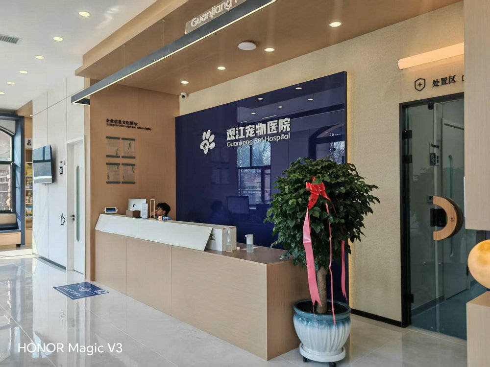 热议哈尔滨做酒店设计提升客户体验的公司，哪家口碑更好？