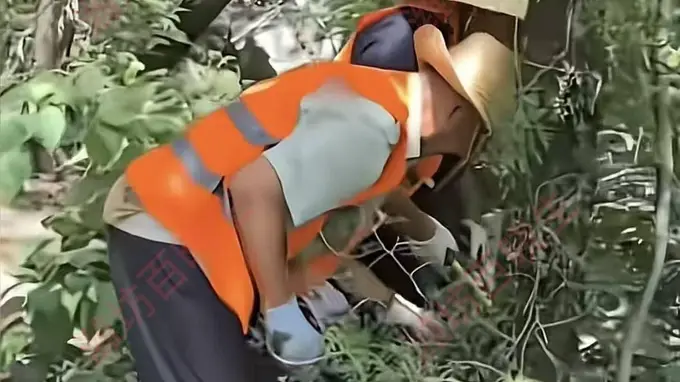 泰山景区天外村被曝已开始拆除铁丝网，网友：还是听劝的