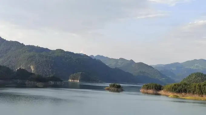 从“山中灵芝”到“颗粒新贵”——女贞丸的传承与创新之路