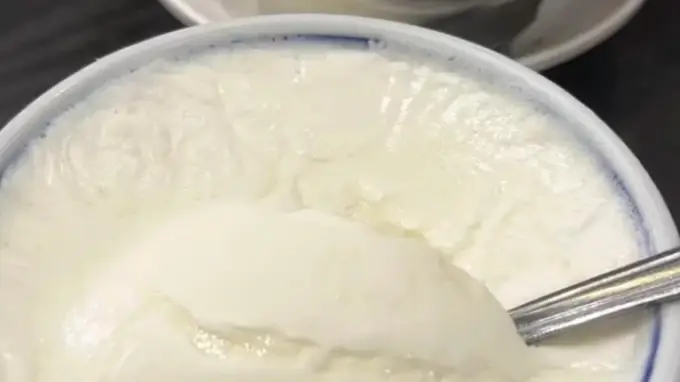 顺德双皮奶 凝炼牛乳纯粹鲜香藏岭南悠长甜香