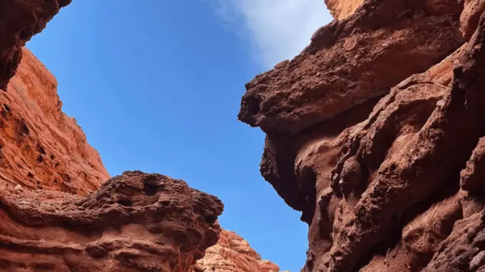 北京出发6天打卡火山沙漠胡杨 这条联游线太适配秋日出行
