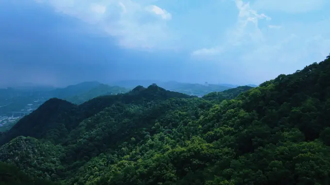 自然渝你 | 走进城市绿野，开启初夏治愈“森”呼吸