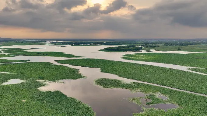 辽河七星湖景区7月9日盛大开园 解锁夏日生态盛景