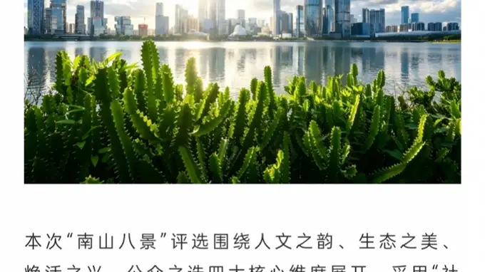 偏爱创新的深圳南山,玩了个最“古早”的创意