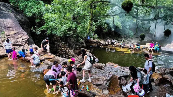 茉莉花开|连云港云台山景区:盛夏寻清凉,亲子欢乐正当时
