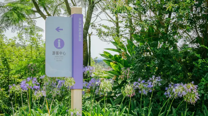 夏日限定浪漫!来永安湖走“花路”啦