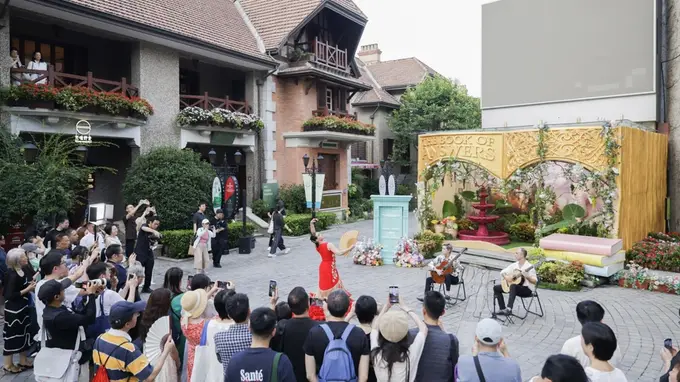 MISA十七载：音乐跨越山海，连接你我他