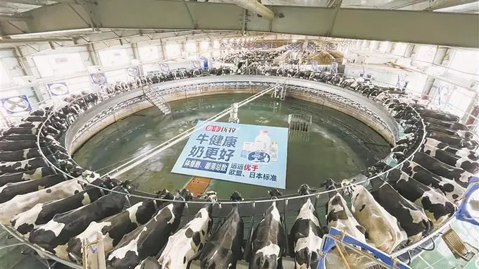 龙江奶业全产业链升级 打造乳品精深加工“超级工程”
