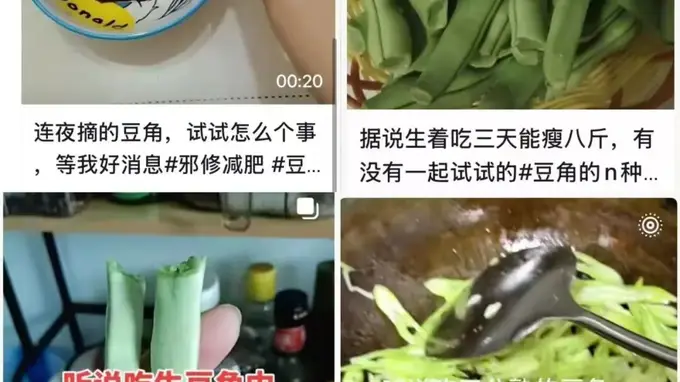 男子三天吃生豆角减8斤 医生紧急提醒：是中毒而非减肥