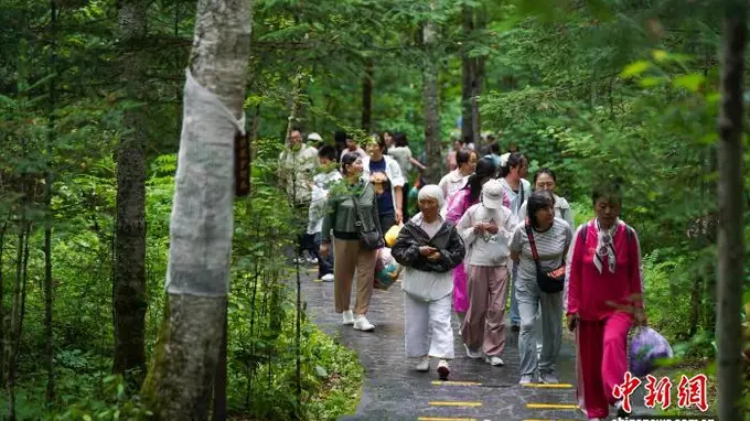 汤旺河林海奇石成避暑首选 大批游客赴清凉胜地纳凉