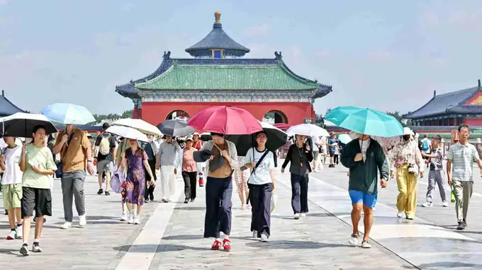 京城拍客今日选图 祈年殿鸽舞花绽绘北京晴光盛景