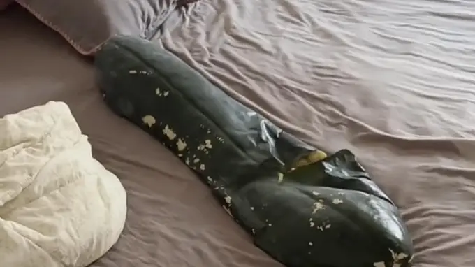 抱冬瓜降温竟炸瓜？专家提醒切勿整夜贴身