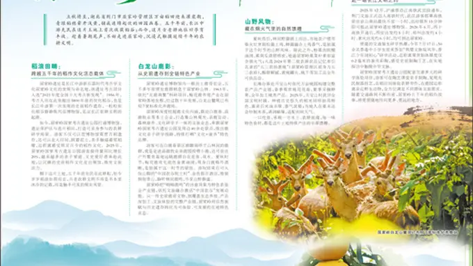 屈家岭邂逅五千年前的稻作脉动 白龙山鹿鸣牵起文旅新韵